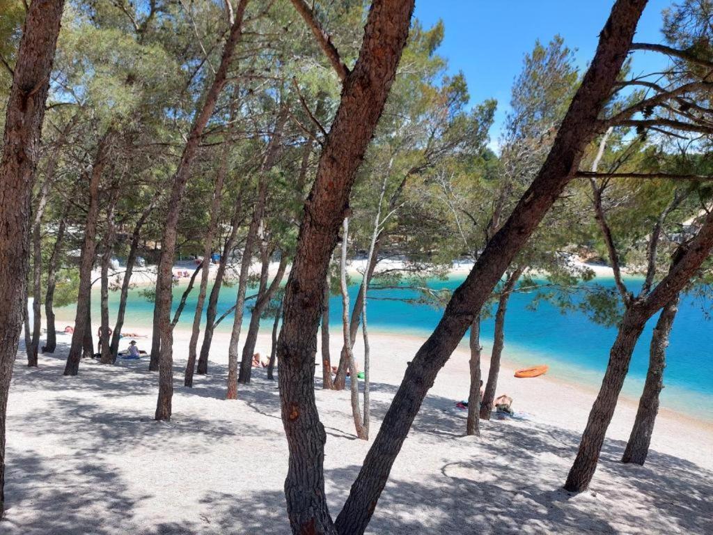 Luxury Mobile Home Pretty Green - Premium - Oaza Mira Resort -50 M From The Beach Drage Eksteriør bilde